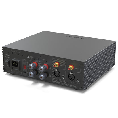 EverSolo AMP-F2 EverSolo